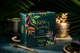 چای تی بگ احمد کیو Ahmad Kew مدل مجموعه فراتر از برگ Beyond the Leaf Collection ( جعبه فلزی سبز 40 عددی )