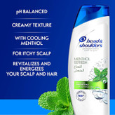 شامپو ضد شوره و ضد خارش نعناع هد اند شولدرز head & shoulders ( 400 میل )