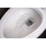 ژل تمیز کننده سرویس بهداشتی آمبی پور ambi pur با رایحه نعناع و یاسمن