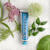 خمیردندان لوکس نعناع آبی مارویس Marvis