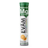 قرص جوشان ایوام EVAM مدل منیزیم و ویتامین بی کمپلکس Magnesium + B-Complex ( 20 عددی )