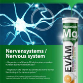قرص جوشان ایوام EVAM مدل منیزیم و ویتامین بی کمپلکس Magnesium + B-Complex ( 20 عددی )