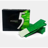 آدامس بدون قند فایو 5 ( Five ) مدل نعناع تند SPEARMINT RAIN ( 15 عددی )