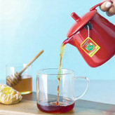 چای تی بگ دو غزال DO GHAZAL مدل سیلان خالص Pure Ceylon ( پاکت 100 عددی )