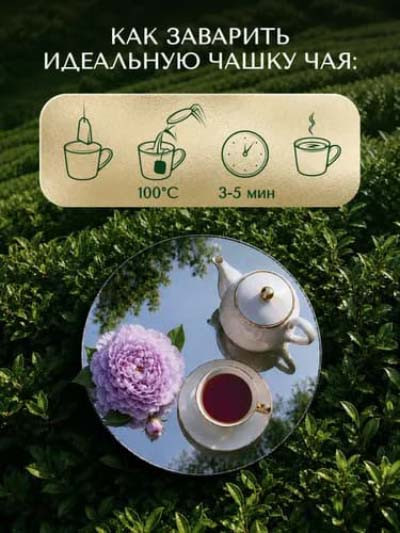 چای تی بگ احمد Ahmad مدل ارل گری Earl Grey ( جعبه فلزی ۴۰ عددی )